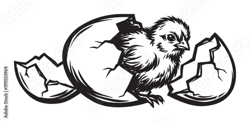 Newborn baby chick illustrated in black and white is breaking free from its cracked eggshell, symbolizing new life and beginnings in a bold graphic linocut style