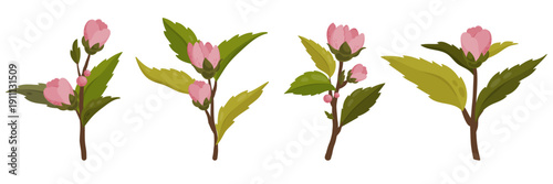 Collection of four individual pink floral branches with blooming buds and green textured leaves. Digital hand-drawn botanical illustration set isolated on white for spring and wedding design