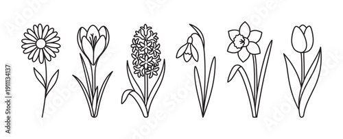 Collection of six spring flower illustrations in a simple black and white line art style, featuring a tulip, daffodil, crocus, hyacinth, snowdrop, and daisy