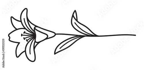 Single black and white lily flower line drawing with a long stem and leaves, depicted in a minimalist, elegant style for botanical illustrations and decorative designs