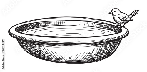 Hand-drawn birdbath with a small bird perched on the rim, illustrated in a simple black and white sketch style with cross-hatching details and water in the basin