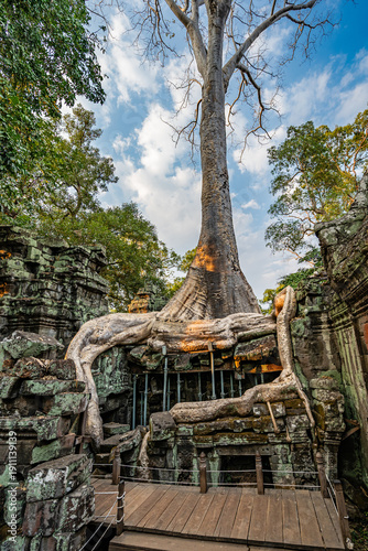Konstfotografi Siem Reap, Cambodia – Ancient Khmer architecture