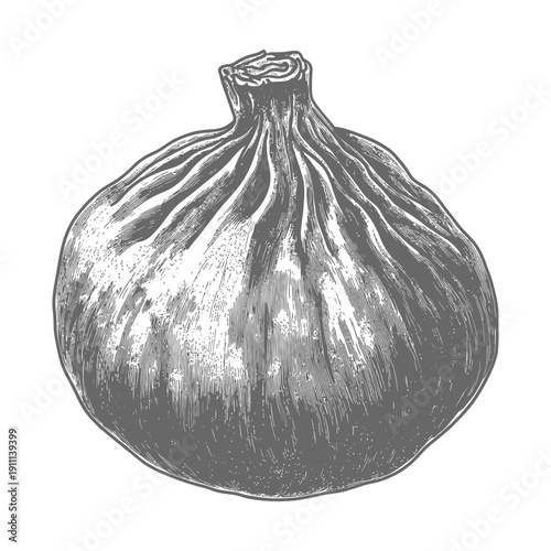 A detailed monochrome illustration of a plump ripe fig on white