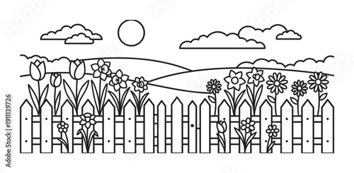 Charming spring garden line art illustration showing a picket fence with blooming tulips, daffodils, and daisies under a sunny sky with clouds and rolling hills