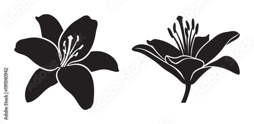 Two black lily flower silhouettes in a minimalist graphic style, showing a top view and a side view of the blooming blossom with detailed stamens and petals in a clean vector design