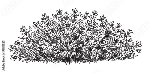 Hand-drawn black and white flower bush sketch with simple blossoms and leaves in a loose, expressive ink line art style, showing a charming and natural floral illustration