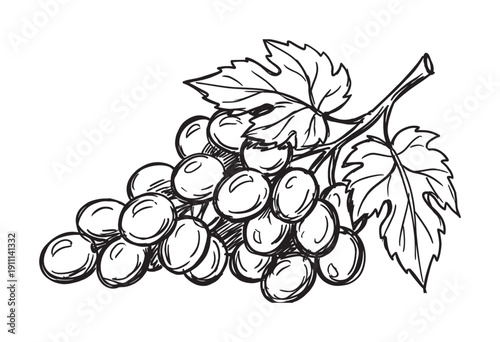 Hand-drawn bunch of grapes with leaves on a vine in a simple black and white sketch style, perfect for wine or food-related designs and agricultural concepts