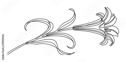 Single black line drawing of a lily flower with a long stem and elegant leaves, rendered in a minimalist continuous line art style for a simple and graceful botanical illustration