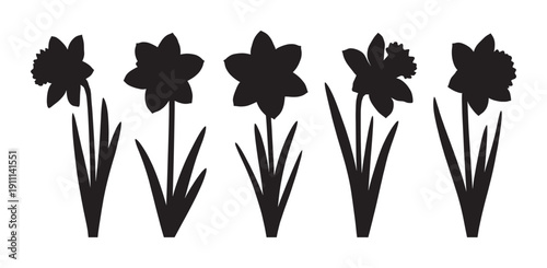 Five black daffodil flower silhouettes in a row showing different bloom shapes, a minimalist graphic vector illustration for spring, nature, or Easter holiday themes