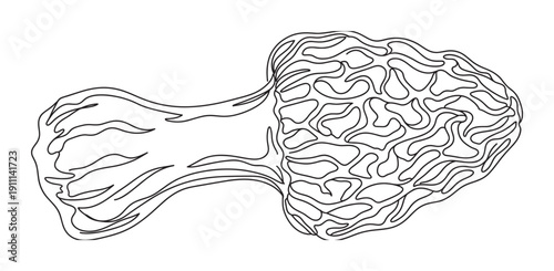 Black and white morel mushroom outline drawn in a minimalist one-line art style, a simple and elegant illustration of the wild edible fungus with its intricate honeycomb texture