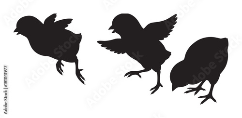 Set of three black chick silhouettes in various dynamic poses, including chirping and flapping wings, presented in a clean, graphic, and minimalist illustrative style
