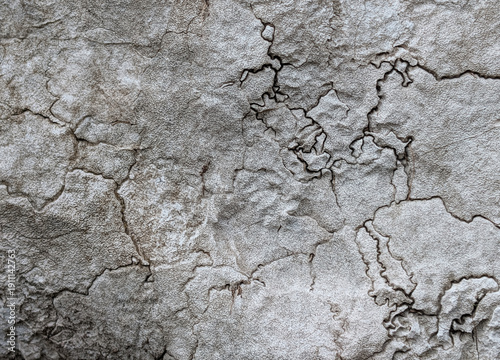 The texture and cracks of an ancient rock. A close-up of a fragment.
