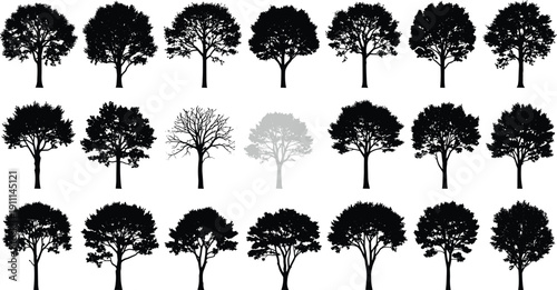 Black and gray tree silhouettes on white background