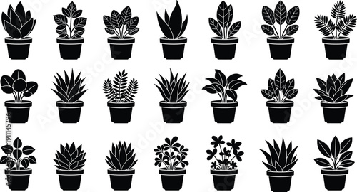 Black and white potted plants collection plant silhouettes indoor plants houseplants