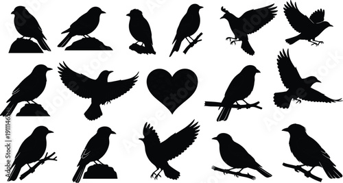 Black silhouettes of various birds on branches and rocks with a heart bird silhouettes black birds heart shape