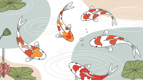Colorful koi fish swimming in pond with lotus flowers illustration