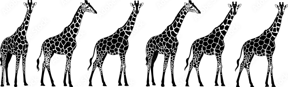 Naklejka premium Collection Of African Giraffe Silhouettes In Various Standing Poses Featuring Distinct Spotted Patterns For Safari Wildlife Nature Conservation And Zoo Animal Graphic Design Projects (24 words)