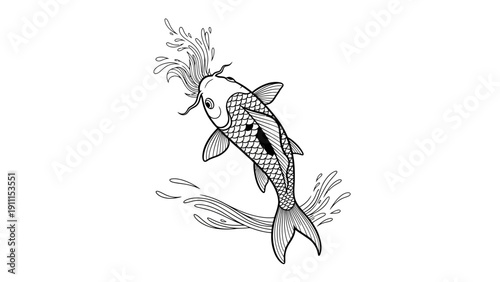 Elegant black and white koi carp illustration with water splash elements