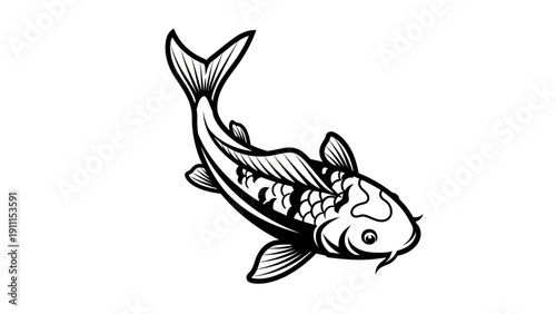 Elegant black and white koi fish illustration on isolated white background