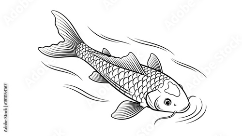 Elegant monochrome illustration of a koi carp swimming gracefully in water