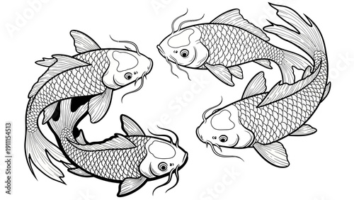 Ink drawing of koi fish in circular arrangement with detailed scales and whiskers