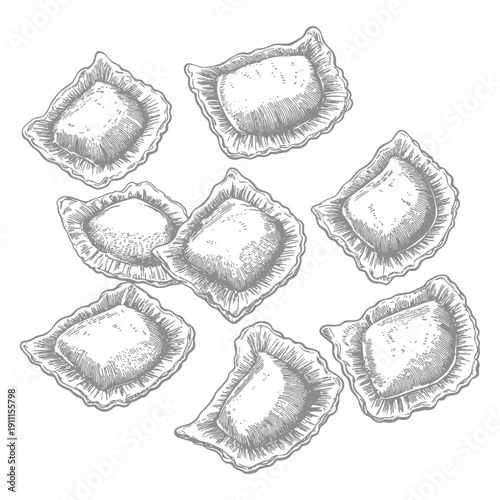 Detailed illustration shows several filled pasta dumplings on a white background