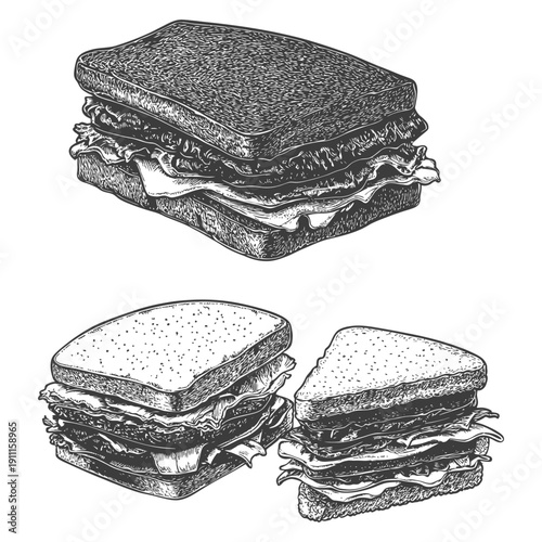 Detailed vintage illustrations of different sandwiches on white backgrounds