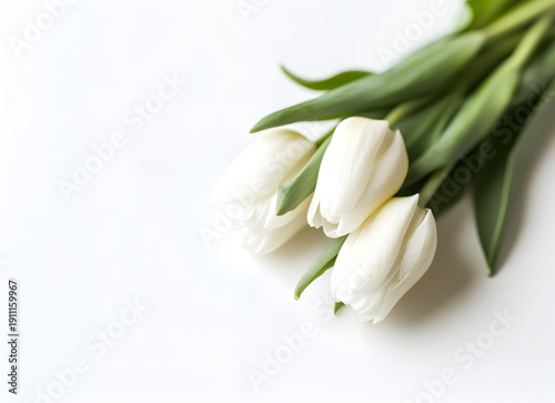 Three white tulips with green leaves arranged on a light background, showcasing the delicate petals and natural beauty of the flowers in a minimalist composition