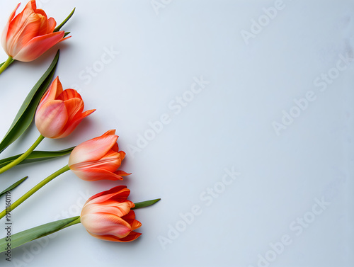 Group of vibrant orange tulips with green leaves arranged on a light blue background, showcasing their natural beauty and delicate petals in a minimalist composition