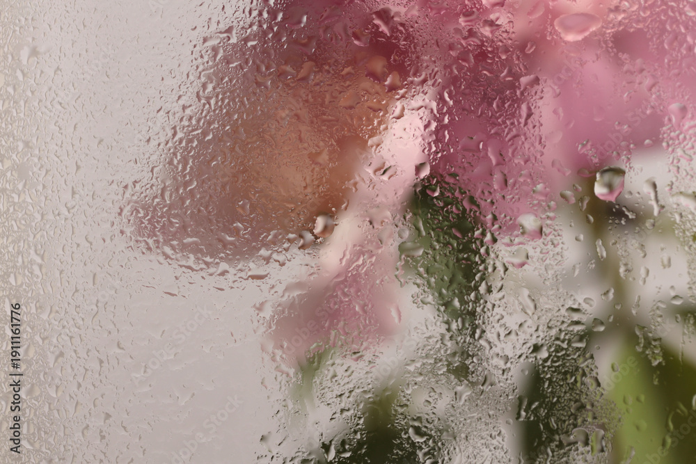 Fototapeta premium Smoke selected soft focus pink Peony Flower, Green Leaf twig through glass with wet water drops. Abstract natural blur background.