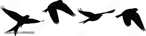 Four black bird silhouettes flying on white background birds