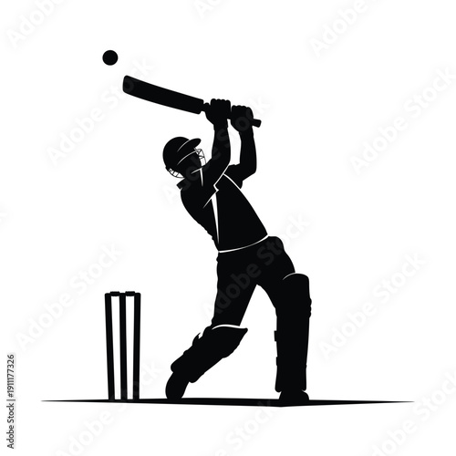 Silhouette of a cricket batsman swinging at a delivered ball