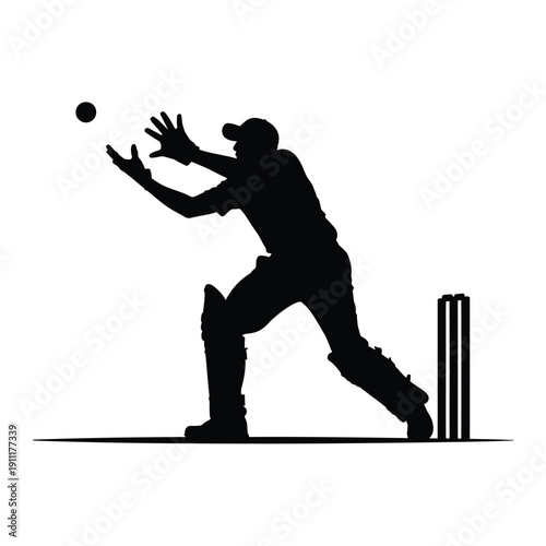 Silhouette of a cricketer attempting a catch during a game
