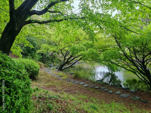 Photos Quiet pond surrounded by vibrant green trees in a traditional Japanese garden