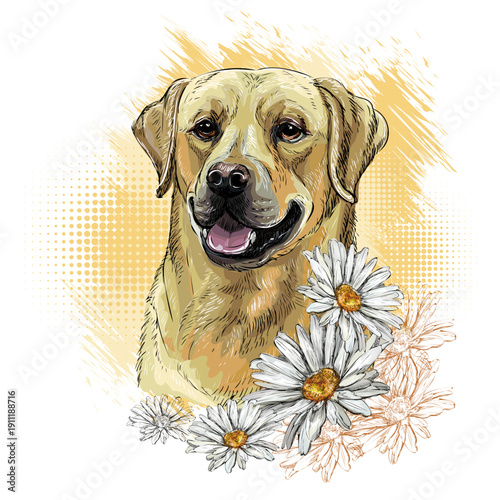 Labrador retriever Dog with flowers hand drawing vector