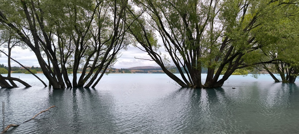 Φωτογραφία a flooded lake with trees in the fore
