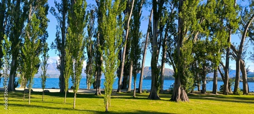 a park with trees and a bench by the water