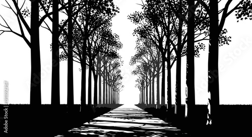 Dramatic black and white silhouette of a long tree-lined path or avenue with strong perspective, graphic nature illustration