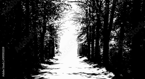 High contrast black and white image of a mysterious forest path leading towards a bright, hopeful light at the end of the tunnel.