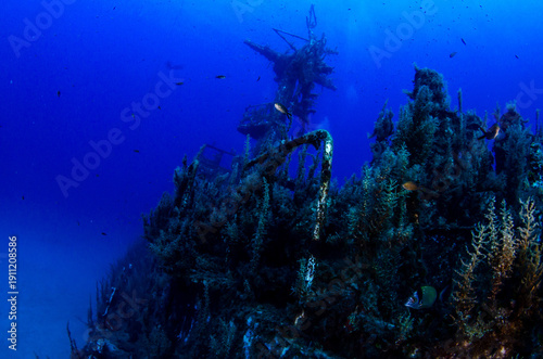Foto Side View of P29 Wreck with Main Mast, Malta
