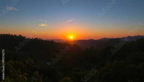 Golden horizon over lush jungle canopy