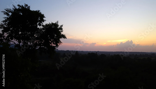 Serene twilight above jungle canopy