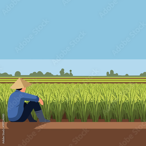 Farmer contemplating a vast, sun-drenched rice paddy under a clear blue sky
