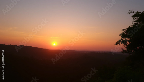 Golden jungle sunset serene evening