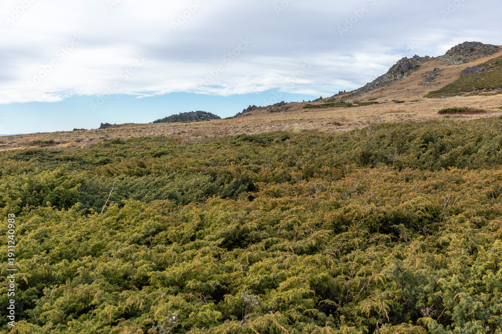 Fototapeta premium Landscape of Vitosha Mountain near Kamen Del peak, Bulgaria