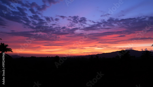 Majestic twilight serene jungle