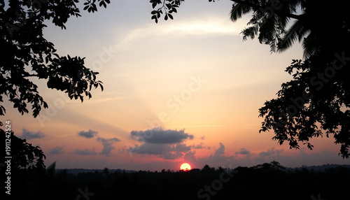 Serene sunset upon jungle canopy