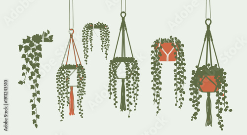 Hanging Potted Plants with Green Leaves.