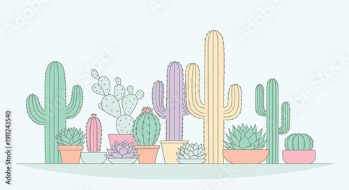 Variety of Cacti Plants in Pots.