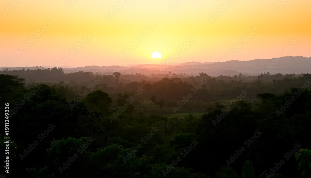 Fototapeta premium Serene horizon sunset shining across jungle trees